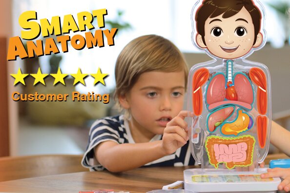 Smart Anatomy